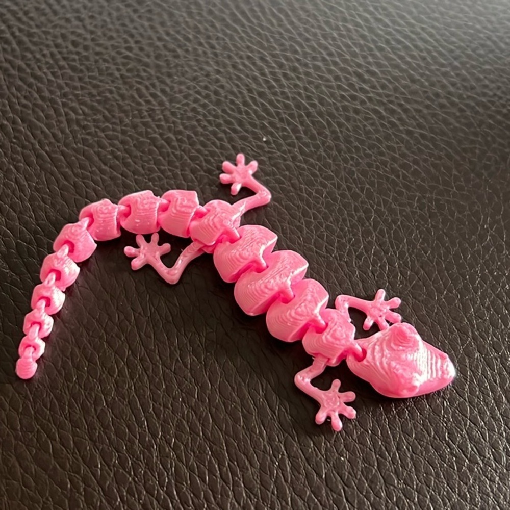 New 3D Lizard